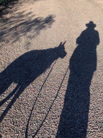 Mar 16 - Me and my shadow.